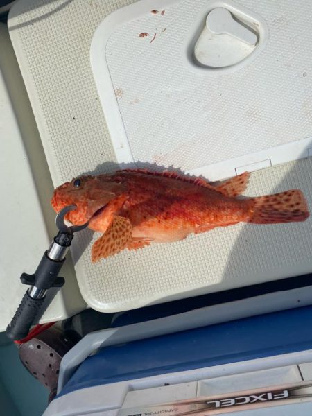 友人のプレジャーボート釣行