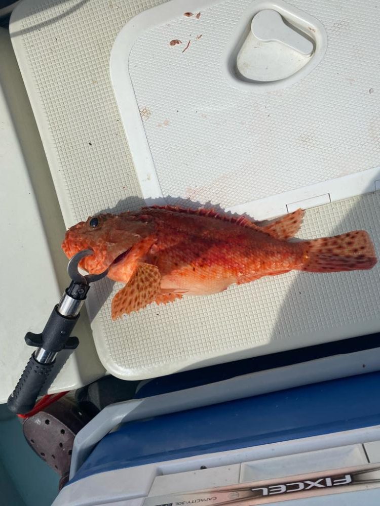 友人のプレジャーボート釣行