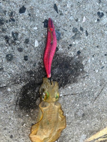 仕事前の1シャクリ