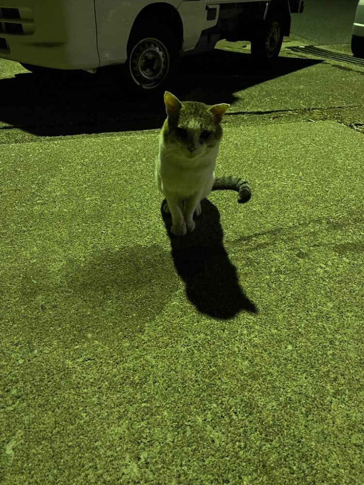 行きたくなって