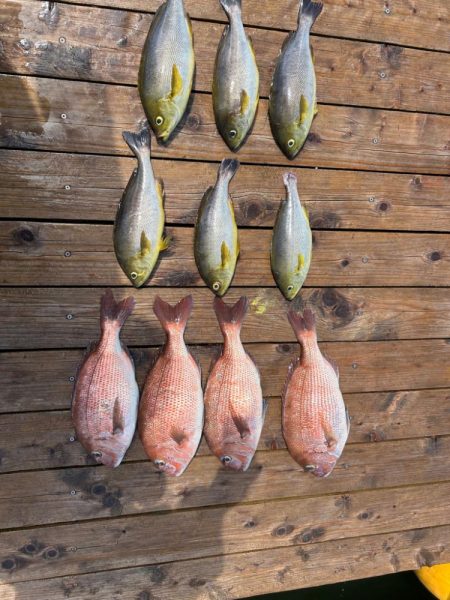 関西釣り堀KINGバトル　辨屋