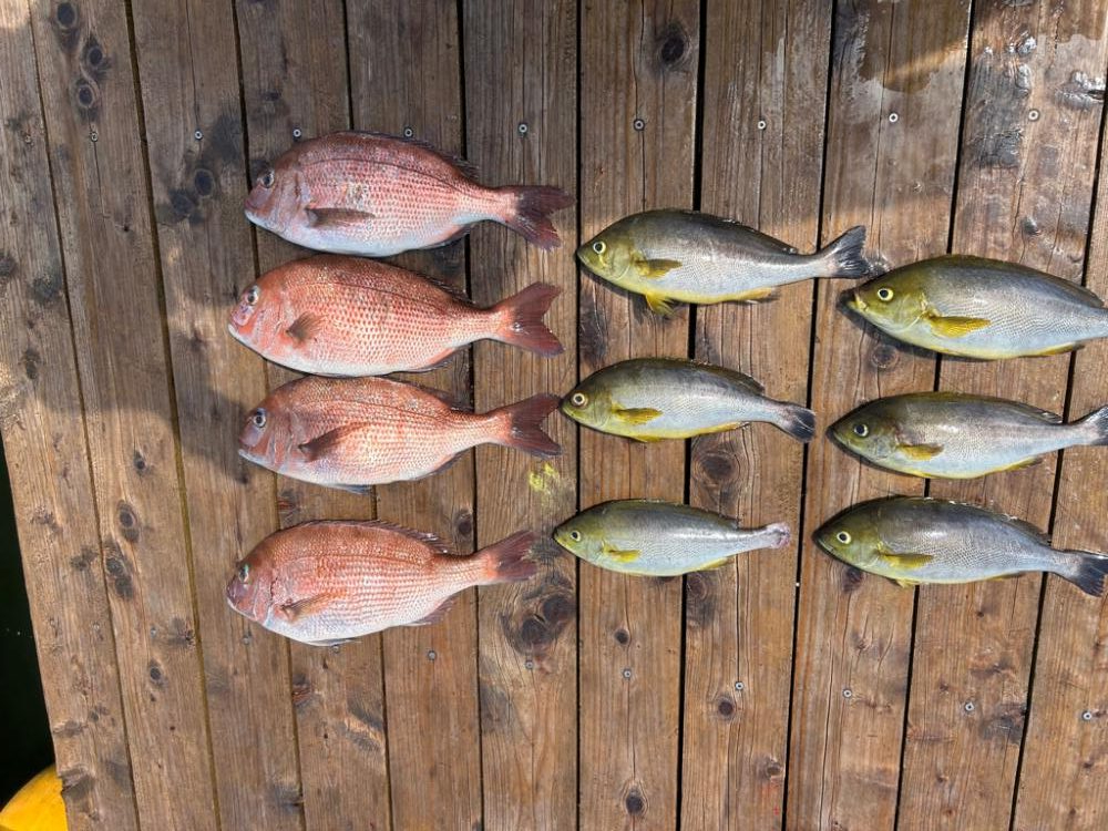 関西釣り堀KINGバトル　辨屋