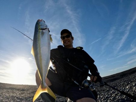 マキマキで良型青物