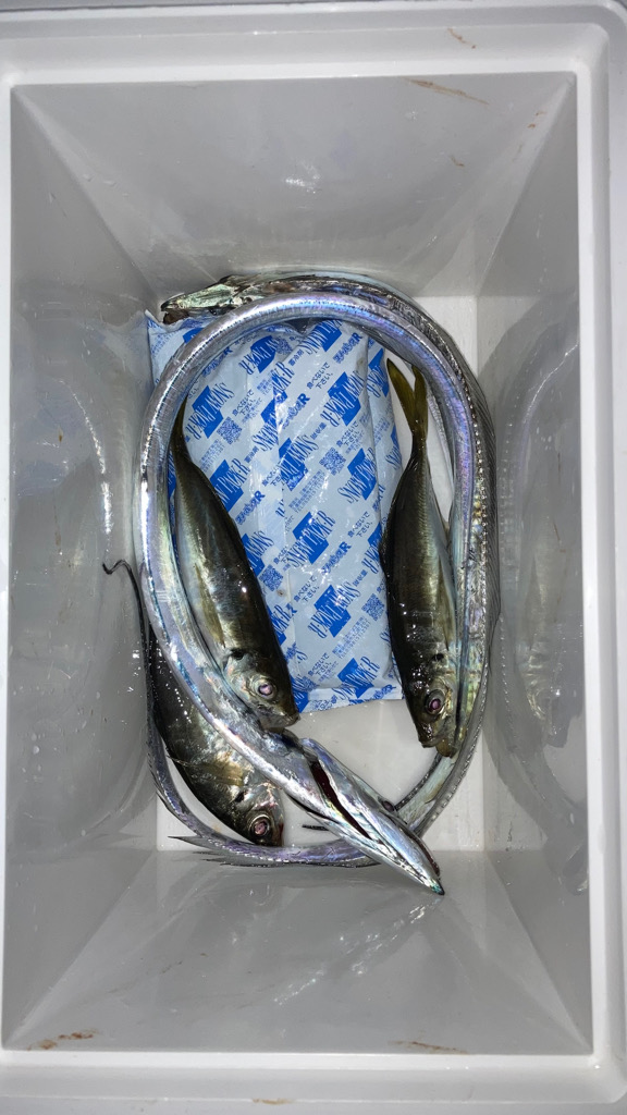 横風でやりにくい_(┐「ε:)_