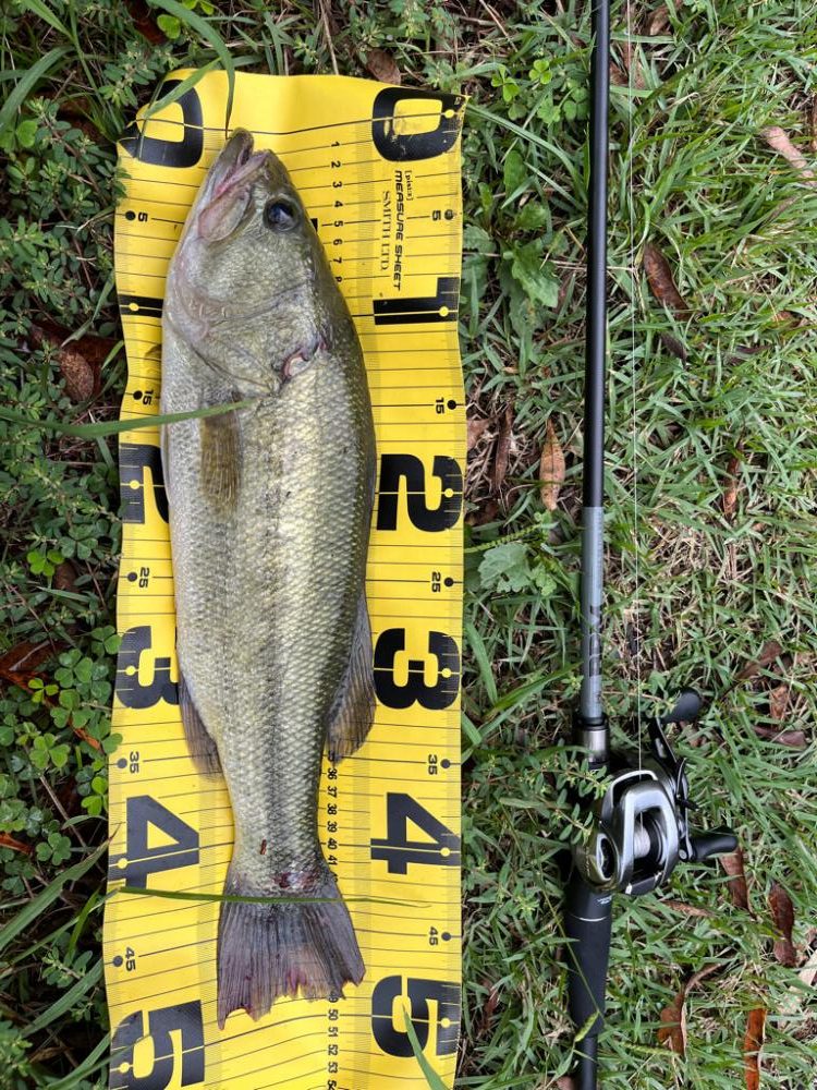 遠賀川と頓田でバス釣り。
