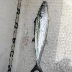 雨予報のマイボート出船