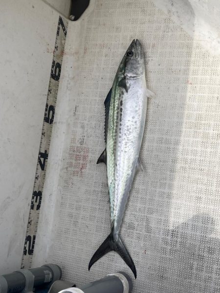 雨予報のマイボート出船