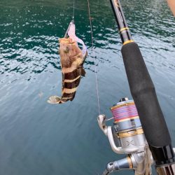 もうそんなに暑く無いかな？