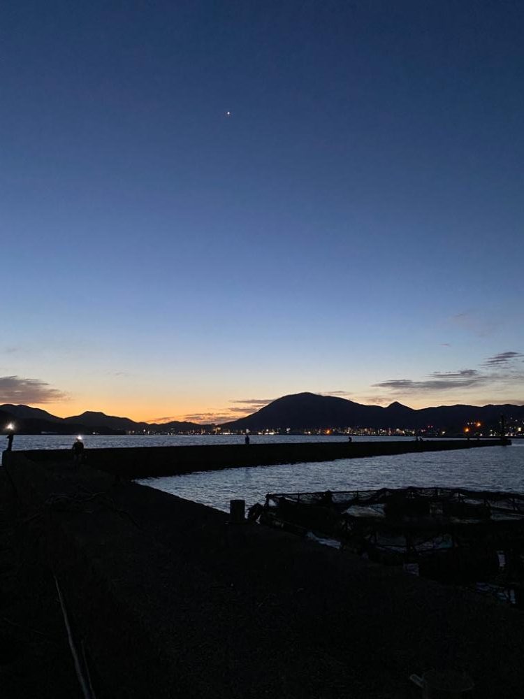 アオリイカ何とか１杯