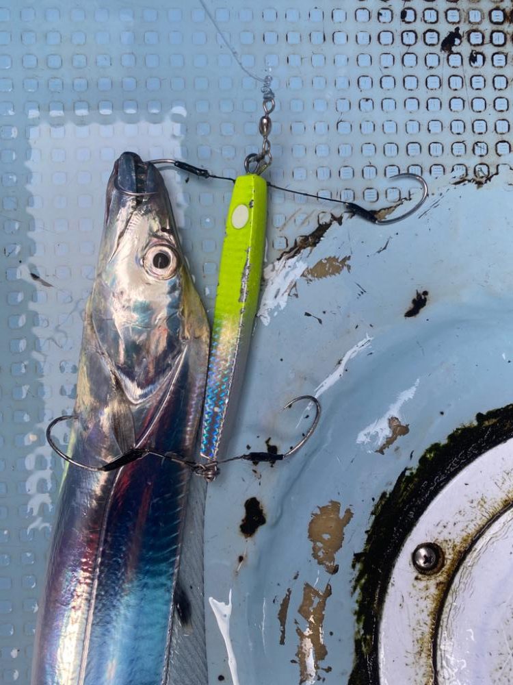 太刀魚釣り　純栄丸