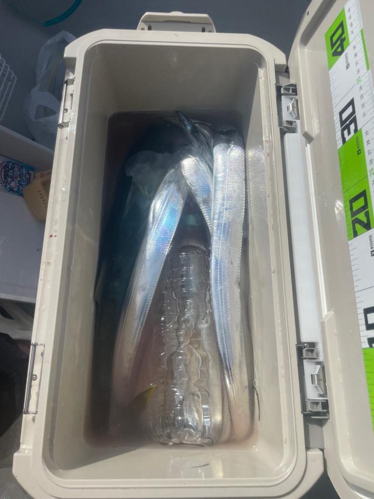 ボートジギング