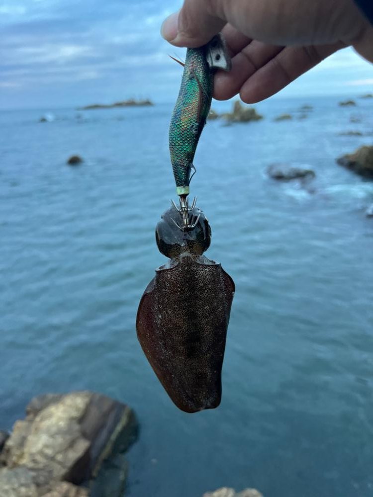 仕事終わりのエギング