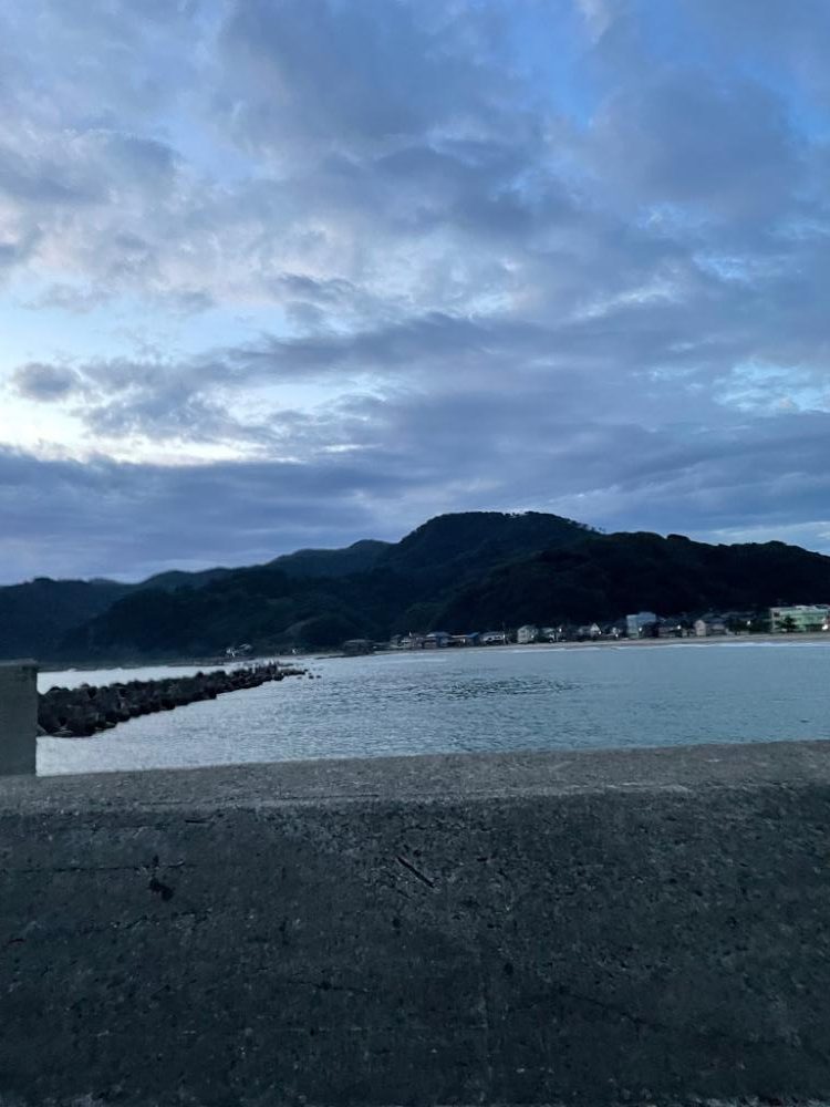 同行者と竹野エギング