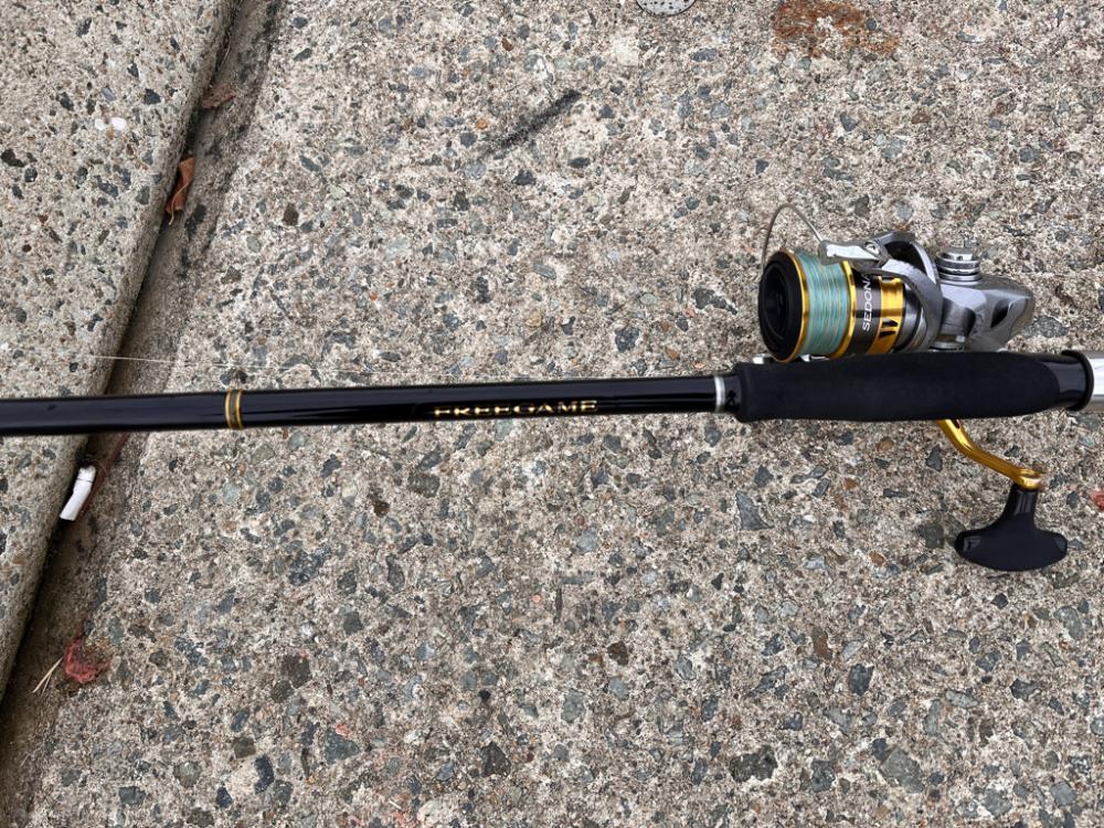 マズメでなくても