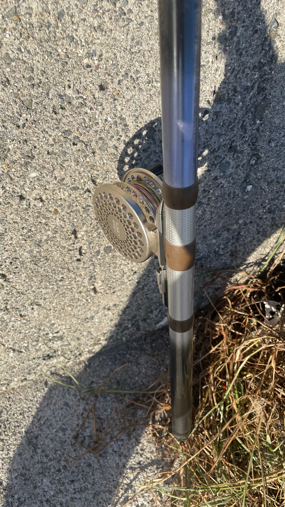 餌取りがイヤで 落とし込み