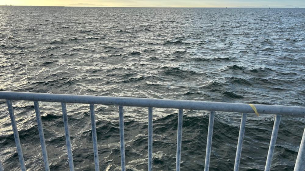 カワハギシーズンイン！