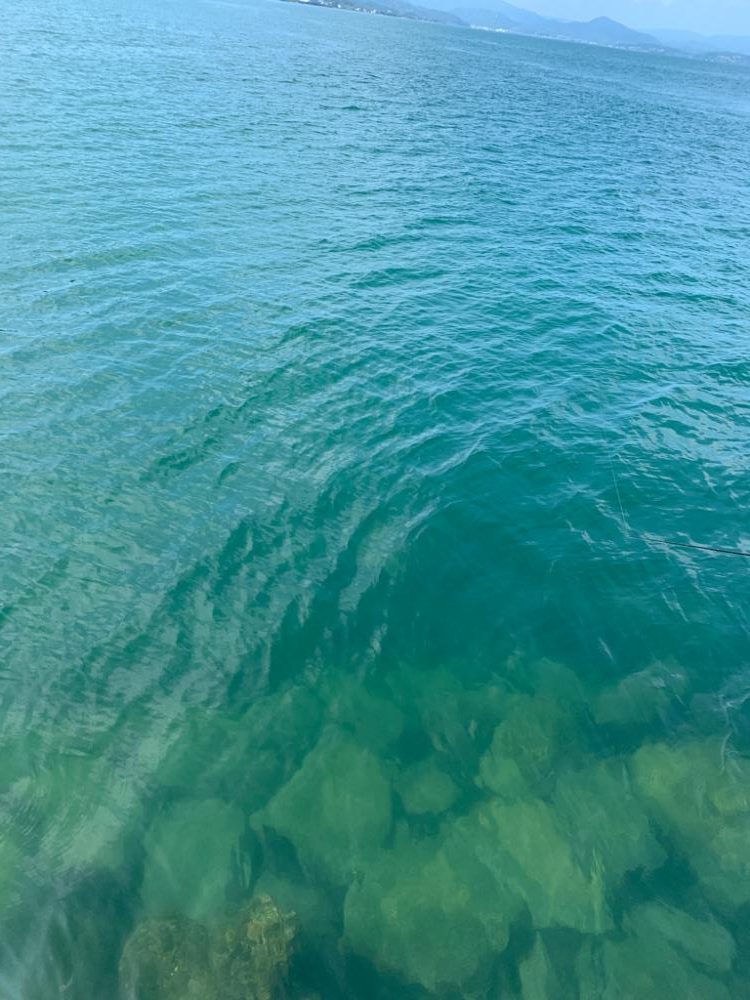 チャリコちゃん