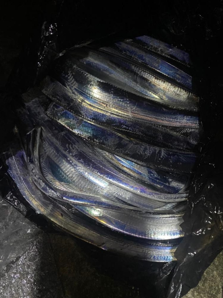 アタリの日でした