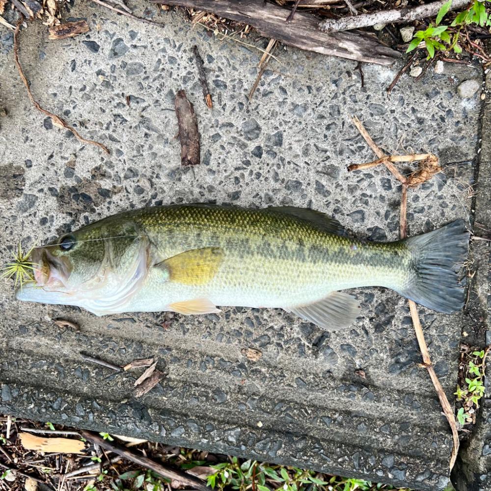 早起きは三文の徳💰笑