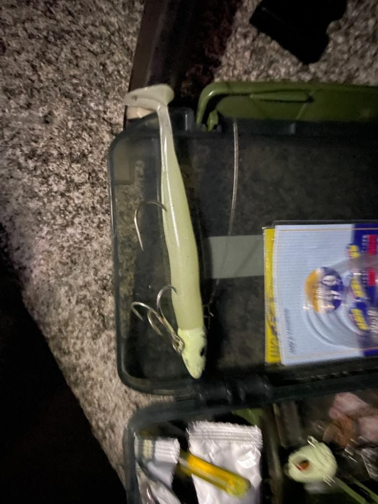 ワームで太刀魚