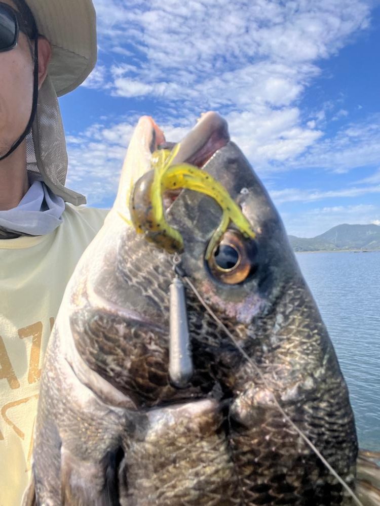 チニング調査 No2