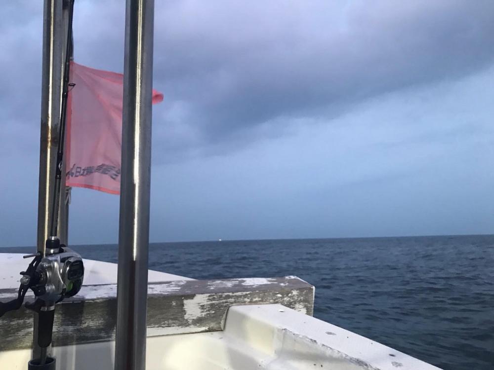 アカマツのタチウオ