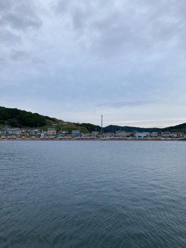 良型サバとクロソイ