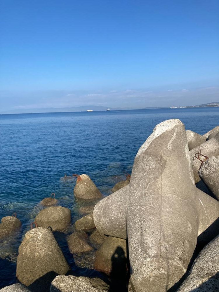 ショアジギング