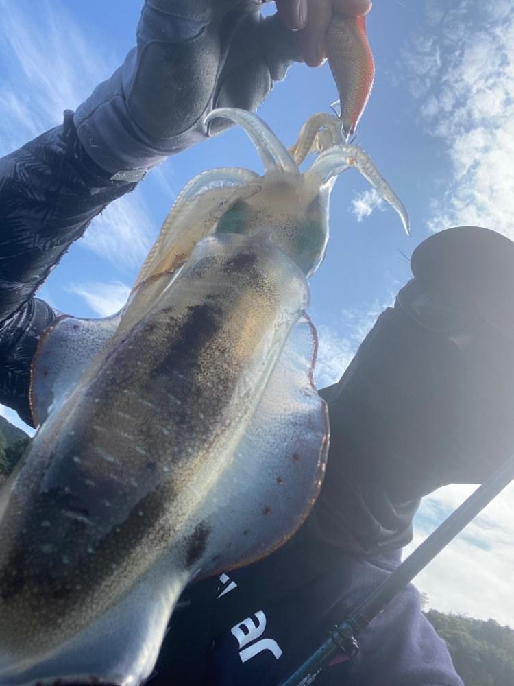 今年も早いし入れ食いだし