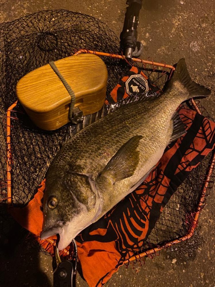 ヘチってきました