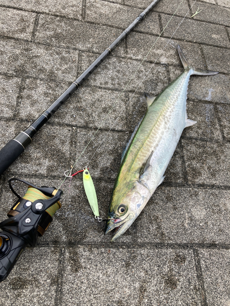 久々に湾奥コスモ。青牙ハットトリック。。。