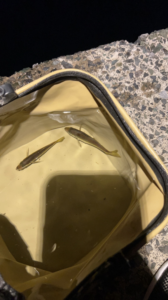 少しずつ秋の気配？