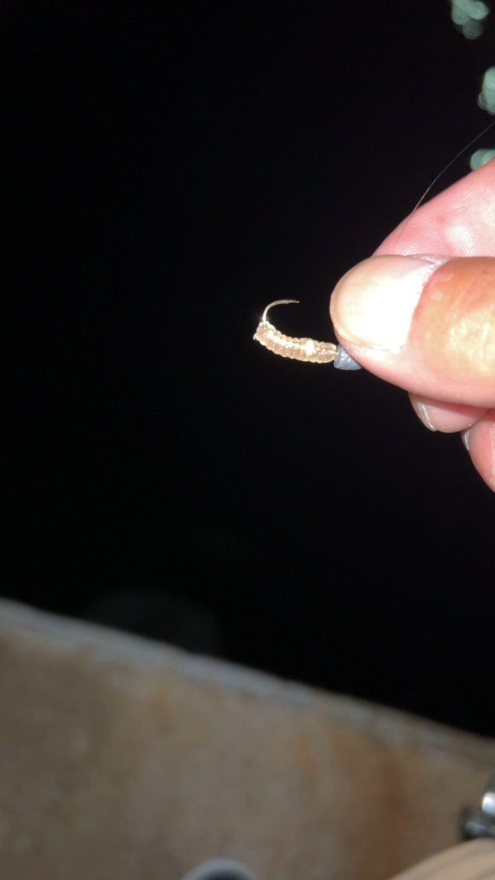 秋のタケノコ掘り♪