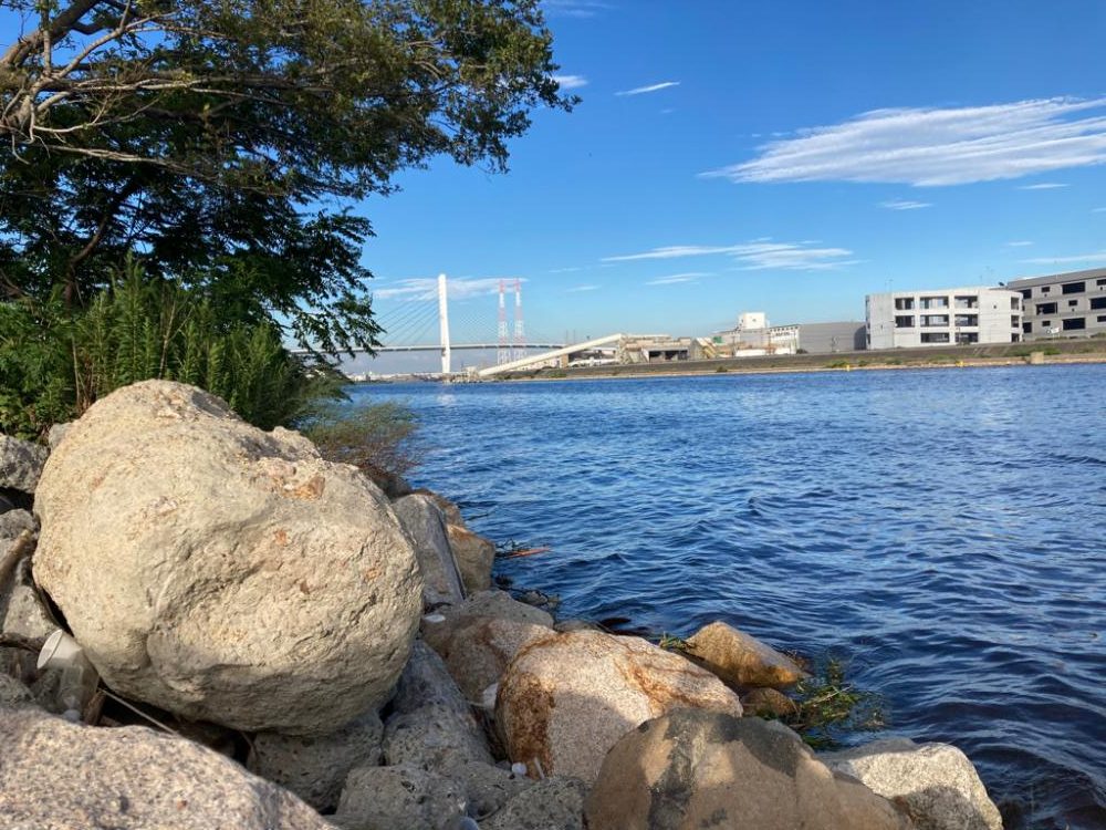 チニングやってみた！