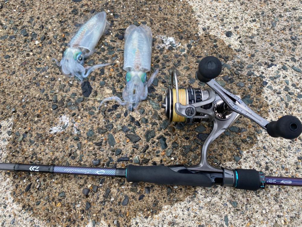 マズメ不発…