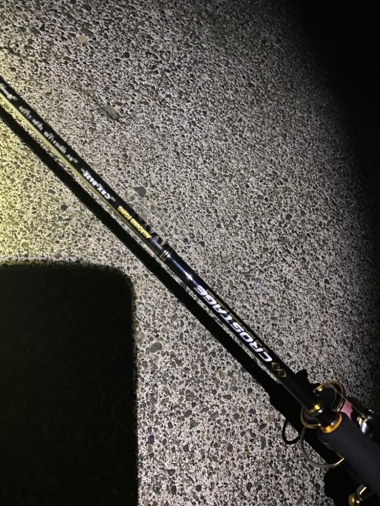 短時間エギング