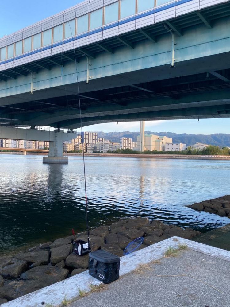 チヌ43センチ他にボラなど