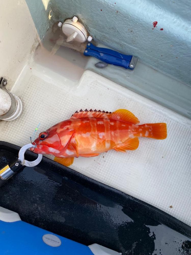 友人のボート釣行