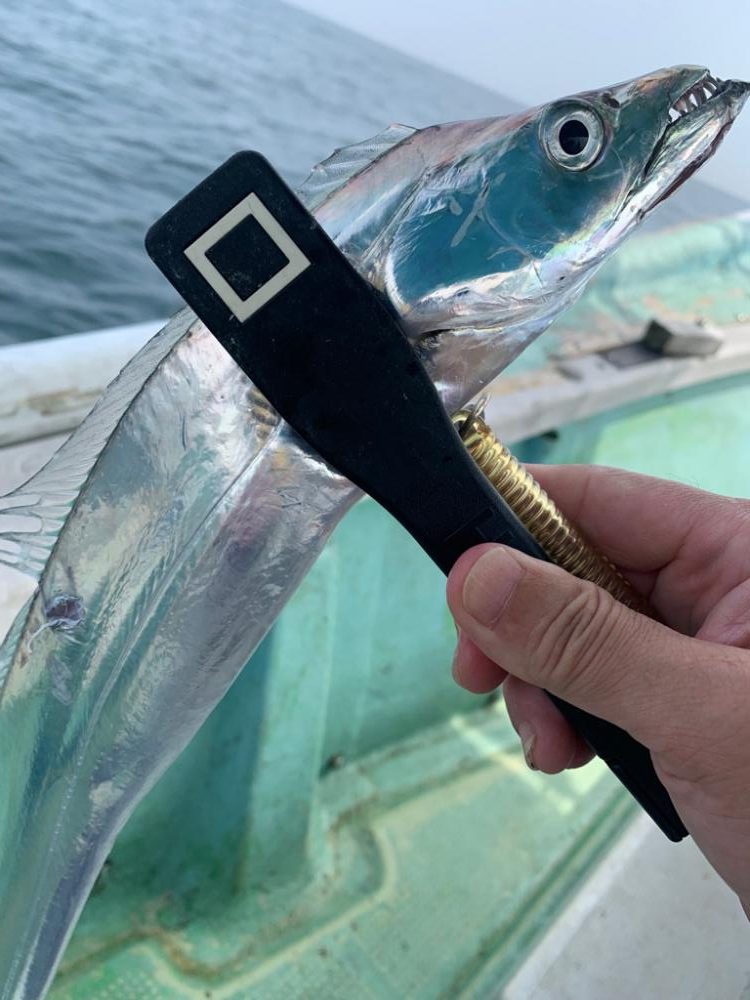 まだまだ暑すぎ!