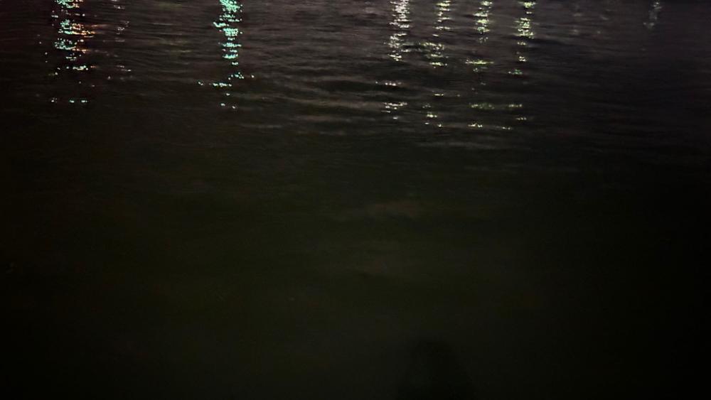 久しぶりの豆アジング