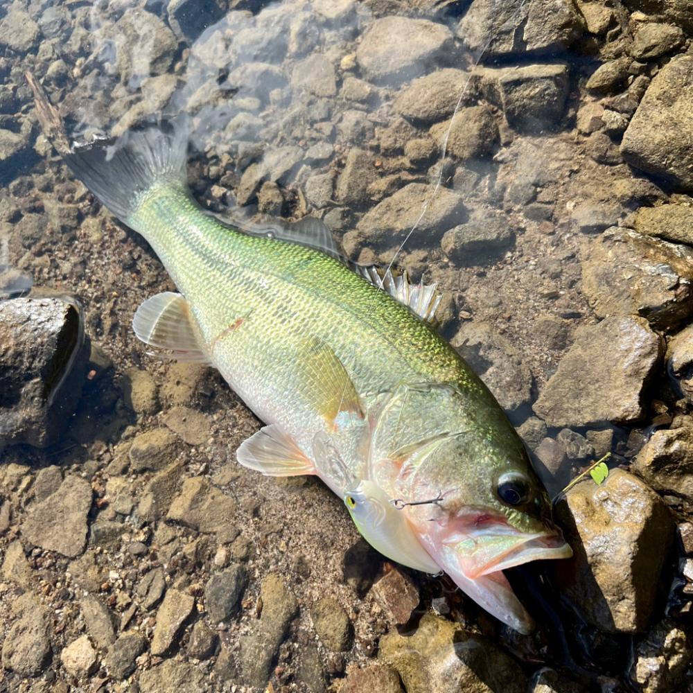 パターン発見💡