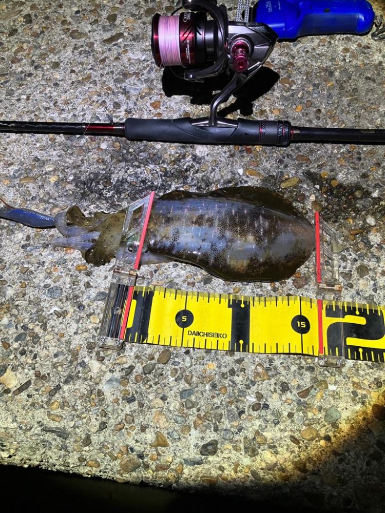 月夜のナイトエギング(^.^)タコも