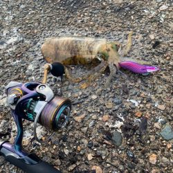 自己記録更新のエギングナイト&デイ…