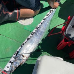 タチウオジギング