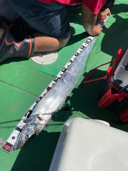 タチウオジギング