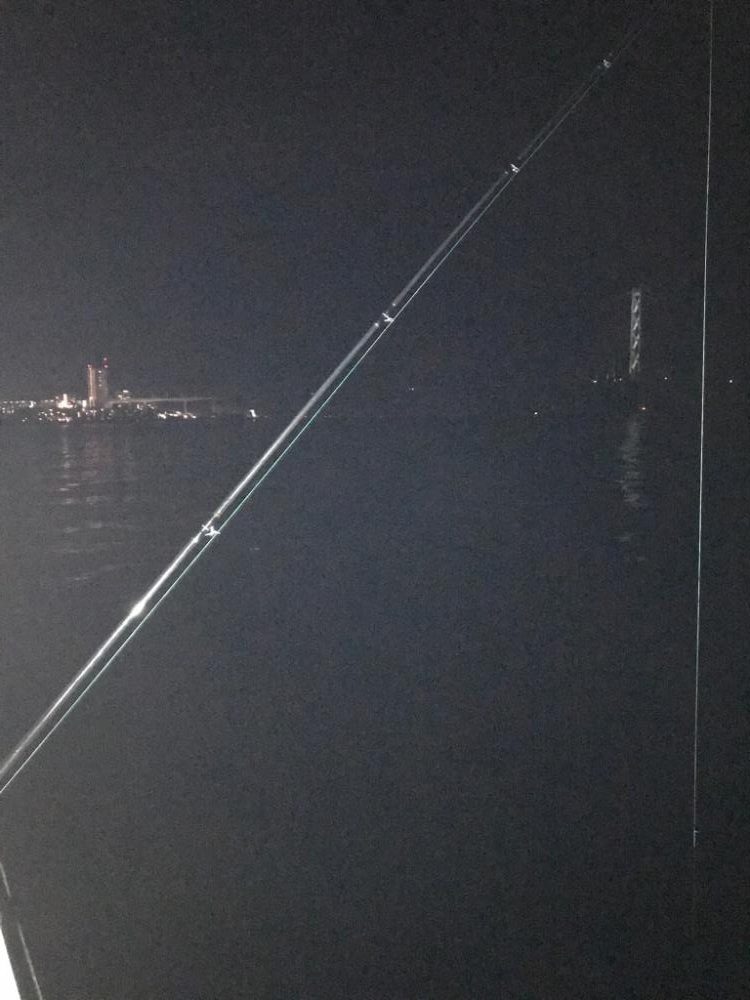 シーズン初タチ