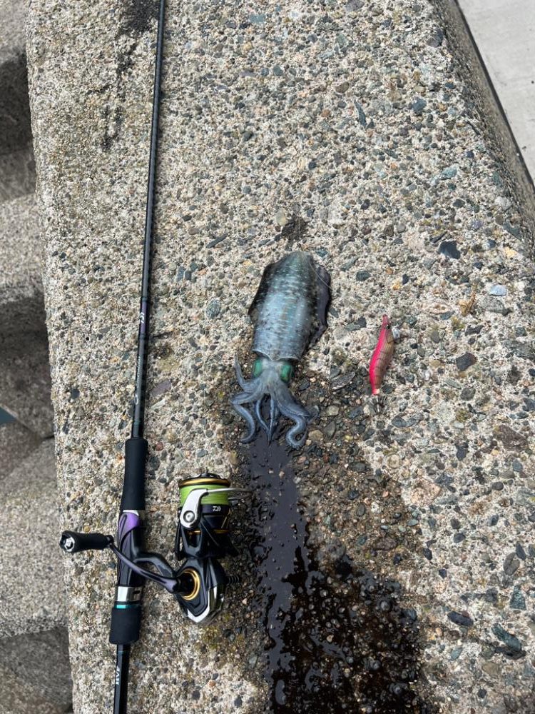 ちょっと迎えまで時間潰し🦑