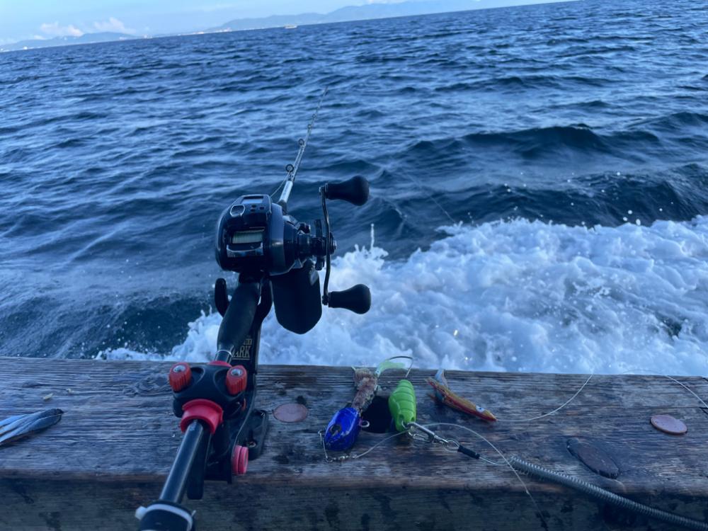 太刀魚わいてますが・・・。