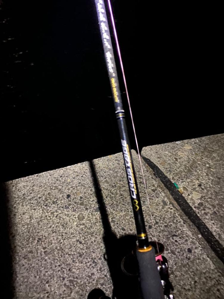 仕事帰りエギング