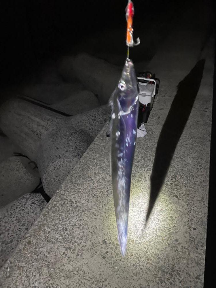 人工島で、ショアジギング